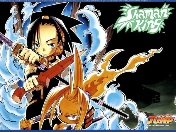 Shamankingv02c012