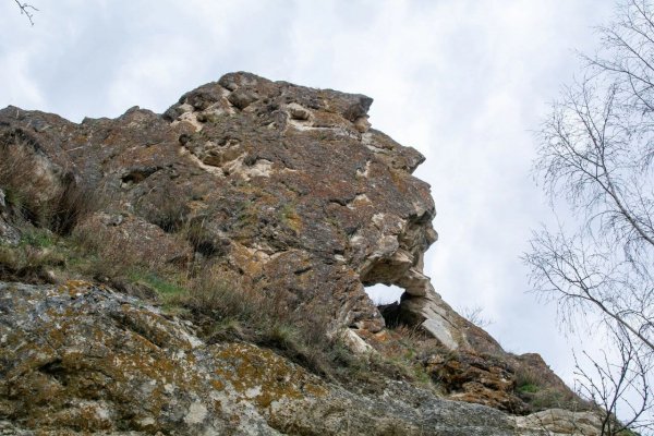 IMG 20240521 105901