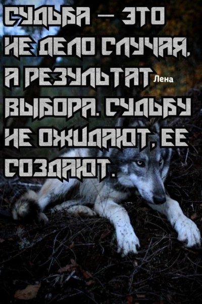 c7151fc2bc73e4dc4f6935afd9610