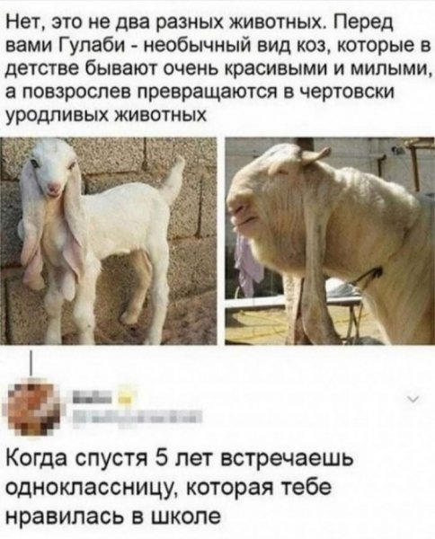 file_103229113