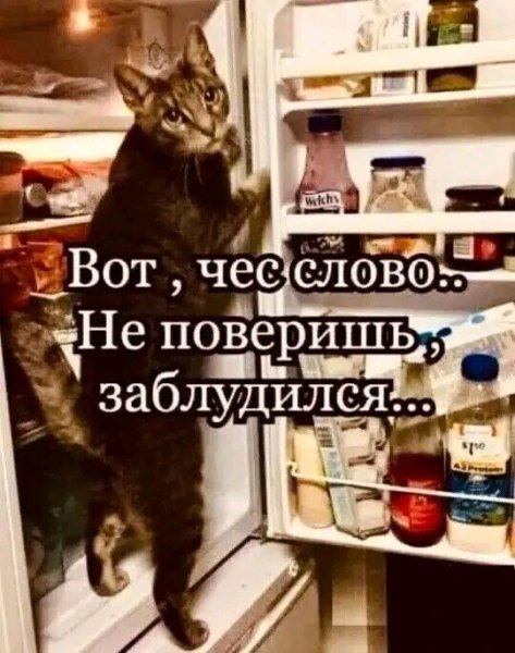 file_103378066