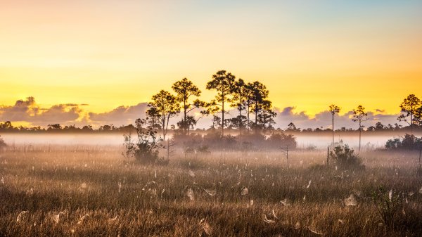 EvergladesSunrise ROW6583902193 UHD