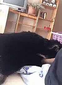 Проспал?))