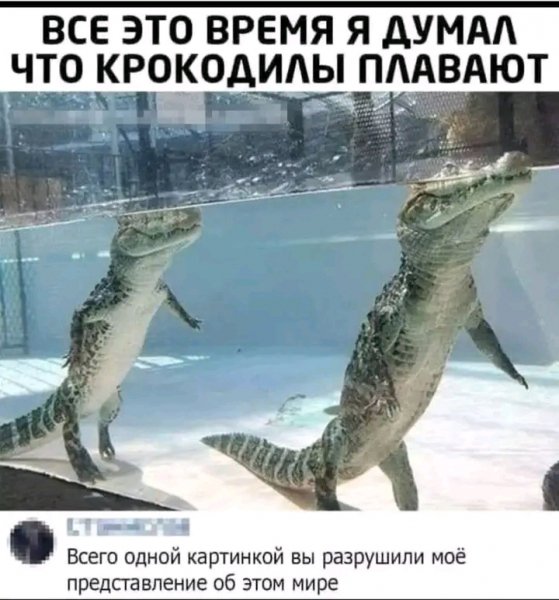file_103410880