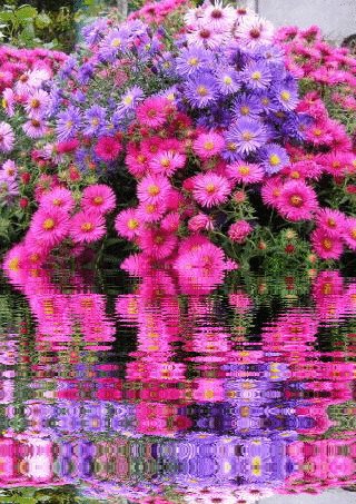 bd1bda7266eefa78ecd1197c02c48