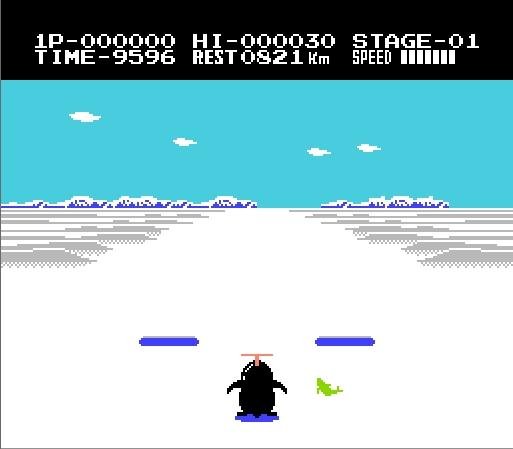Antarctic Adventure