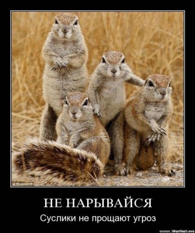 x ab85df43