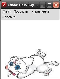 happy pet 19