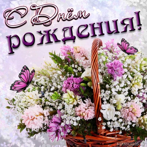 IMG-20230912-WA0008