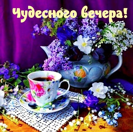 IMG 20181122 164326
