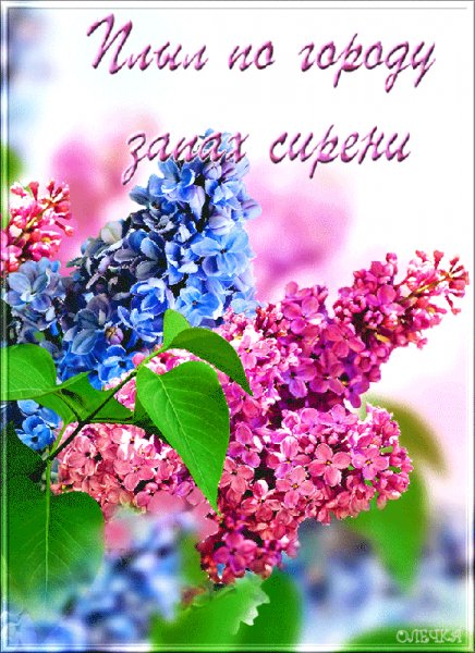 0 101f4b ac369d21 XL