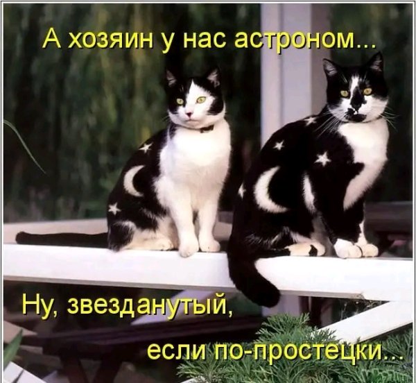 file_103374915