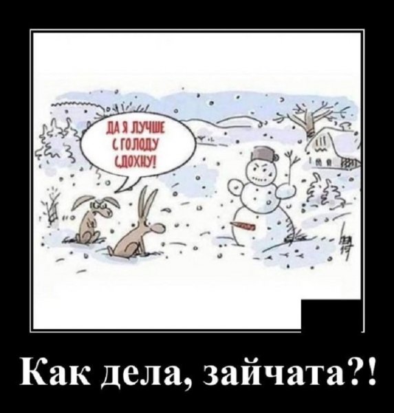 Зайчата