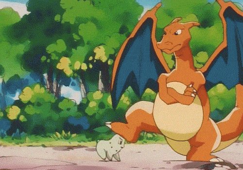 charizard-chikorita pokemon
