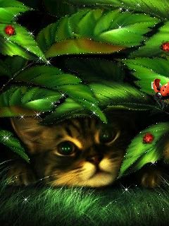 file_48279480