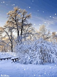 file_54035181