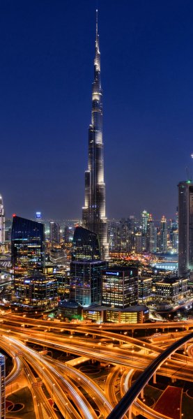 p155288
