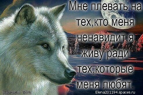 плевать