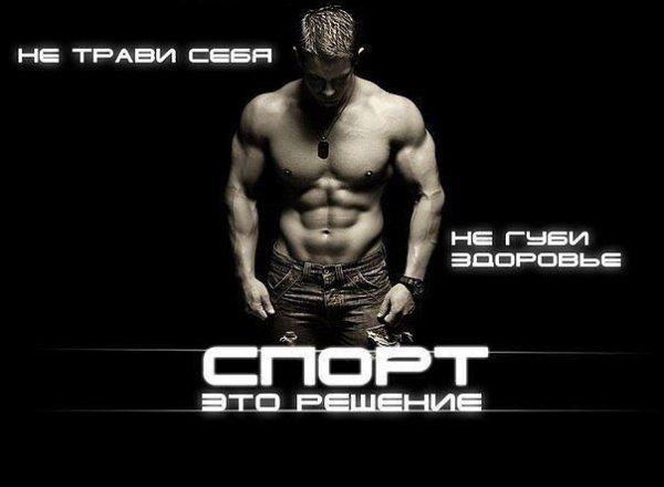 Спорт