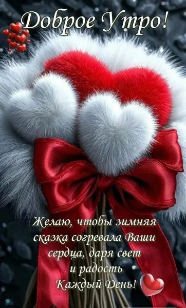 IMG 20251213 124528