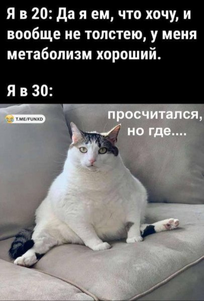IMG 20251225 120915 315