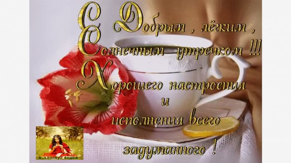 IMG 20160504 224336 58