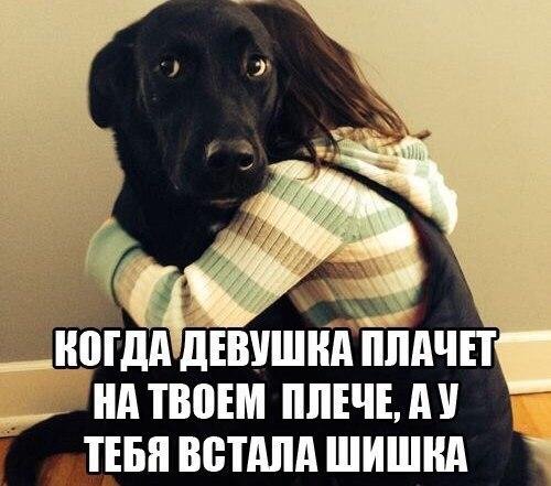 Прикол