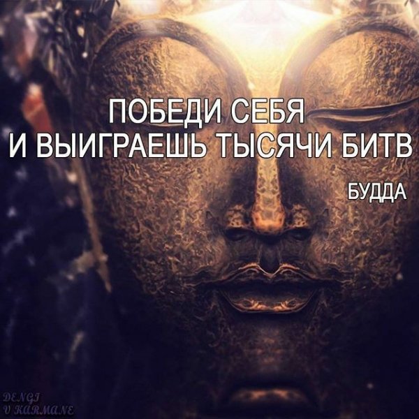 e071e74558d4551c5399abbc