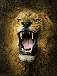 Animated Lion 240x320