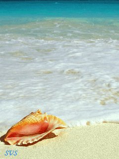 file_9292860