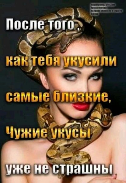 Ce54b4ceacf2525bb9e2e9bea4518e76