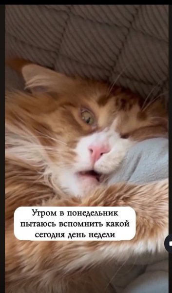 Screenshot 20250918-232809~2