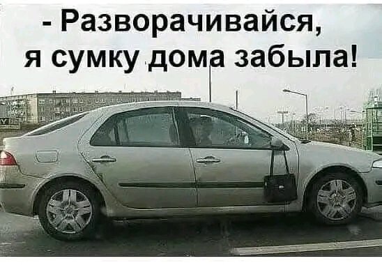 file_103238911