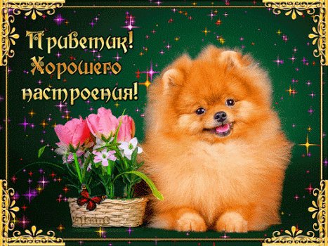 file_76475728