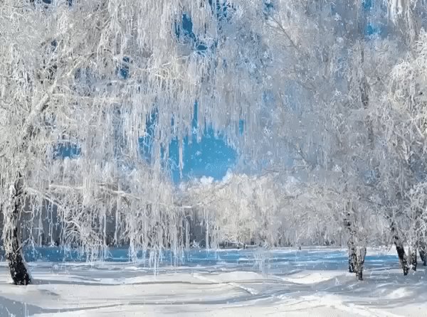 file_76489512
