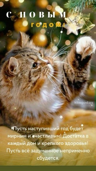 file_92119052