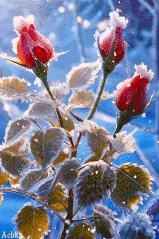 file_95707086