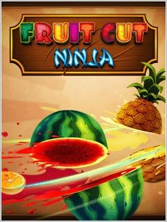 (Rus) Fruit Cut Ninja 240x320 F480 Touch