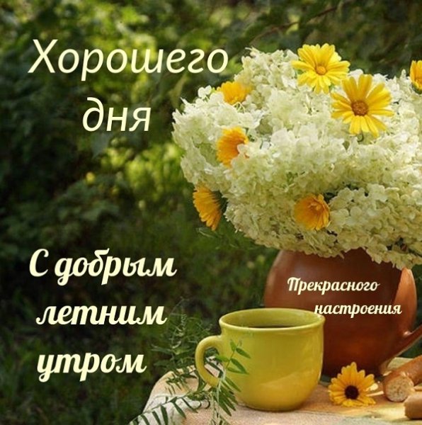 IMG-20260603-WA0008