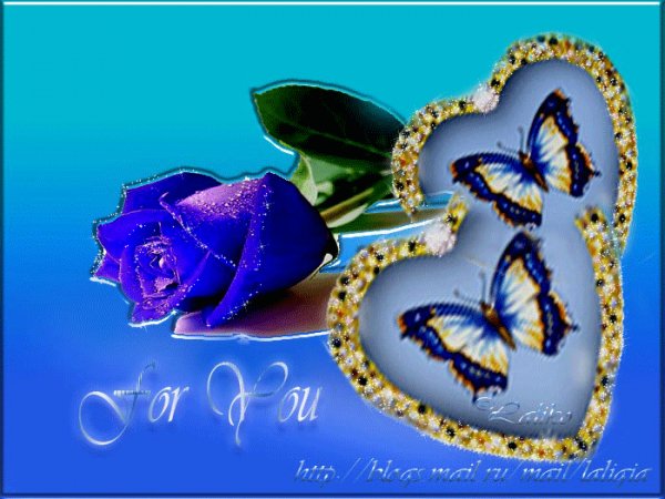 69c5e9a7e1a10e30ea54e92e79ab4a86