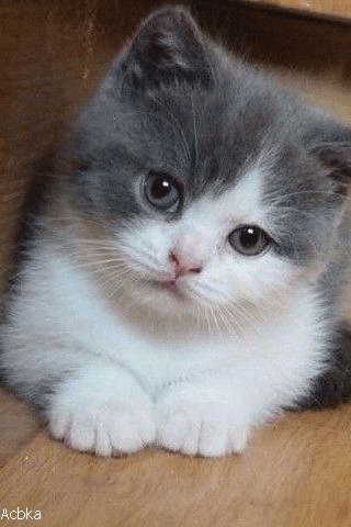 file_75173702