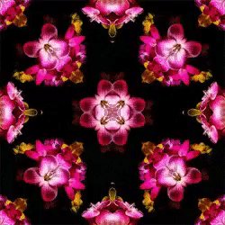 file_76691962