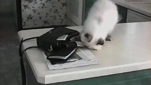 Пойду молоко покупать