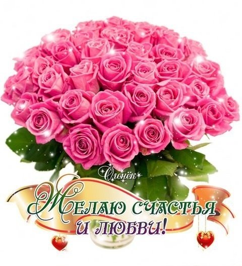 IMG 20190101 151454
