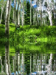 file_59043307