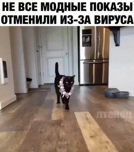 file_81325446