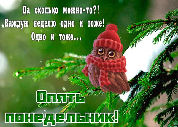 file_84255758