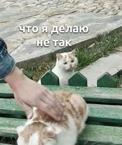 Закон поглаживания мяувкалок