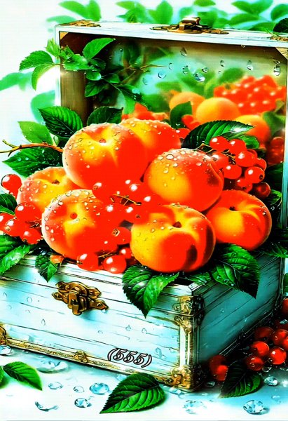 Фрукты