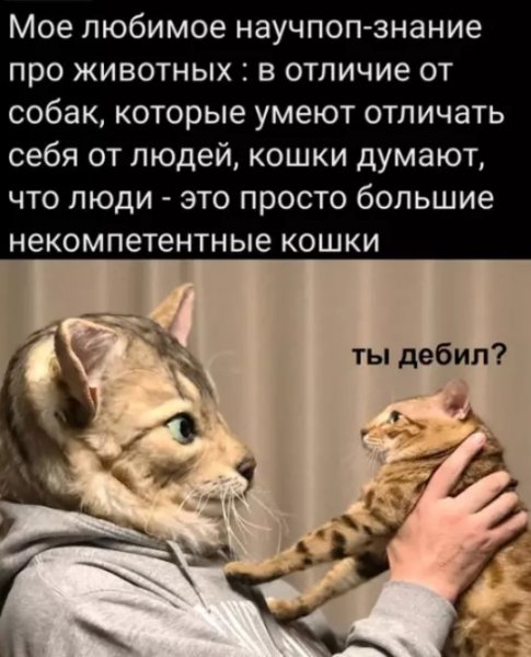 file_102949908